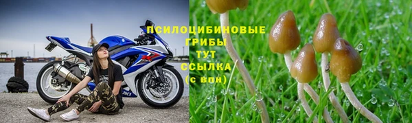 кокаин премиум Аркадак